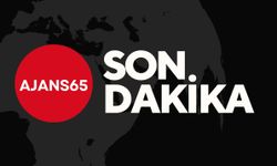 Erciş'te AKP'nin İtiraz Ettiği Sandıkta DEM Parti'nin Oyları Yükseldi
