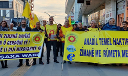 ‘Anadilde Eğitime Karşı Çıkmak Bilime Meydan Okumaktır’