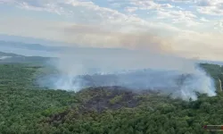 Yalova Armutlu’da Orman Yangınına Müdahale Sürüyor