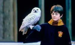 Harry Potter TV Dizisi İçin Oyuncu Seçimi Başlıyor: Kapsayıcılık ve Çeşitlilik Vurgusu