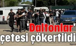 Yeni Nesil Çeteler: Boyun, Daltonlar ve Anucurlar Tehlikesi