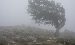 Meteoroloji'den Van ve çevre illere kuvvetli rüzgar uyarısı