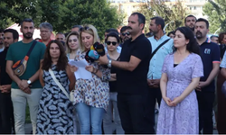 Amed Emek ve Demokrasi Platformu: ‘Lice, Cudi ve Akbelen'de Yaşam suç işleniyor'