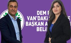 Van Dem Parti’de Yasal Sorunu Bulunan Başkan Adayı Var mı?