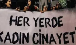 Van’daki Kadın Cinayeti Meclis Gündemine Taşındı