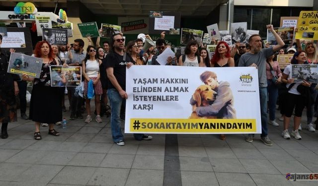 Ankara'da Sokak Hayvanları İçin Nöbet Eylemi Devam Ediyor