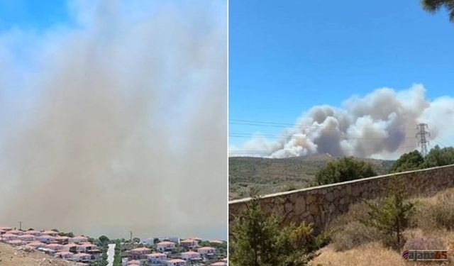 Alaçatı'da Orman Yangını: 3 Kişi Hayatını Kaybetti