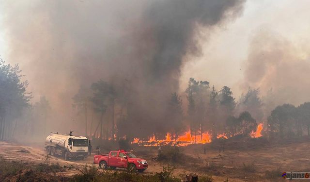 Didim’deki Maki Yangınıyla İlgili 3 Şüpheli Tutuklandı