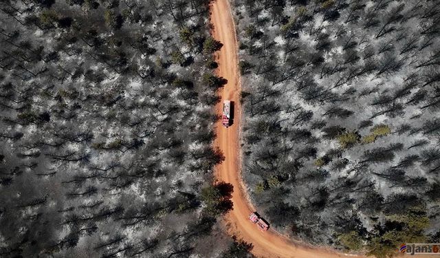 Yangınlarla Boğuşan Ege: Yeşil Alanlar Griye Dönüştü