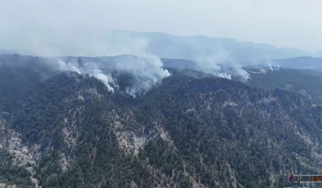 Bolu'daki Orman Yangını Nedeniyle 4 Köy Tahliye Edildi: 2 Kişi Tutuklandı