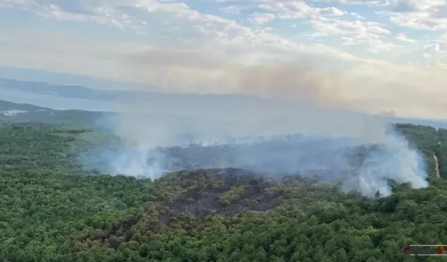 Yalova Armutlu’da Orman Yangınına Müdahale Sürüyor