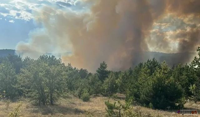 Antalya Aksu’da Orman Yangını: Ekipler Müdahaleyi Sürdürüyor