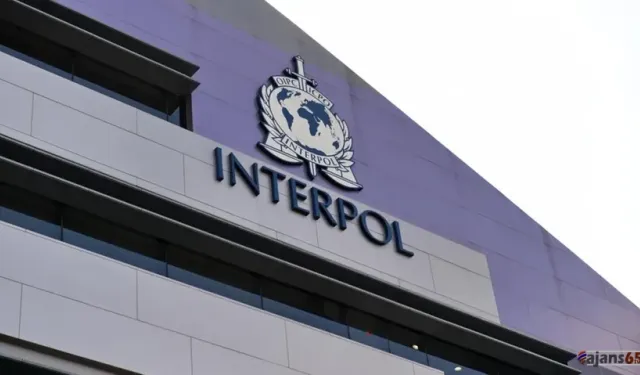 Interpol Genel Sekreteri Stock: "Organize Suçla Mücadeleyi Kaybetmek Üzereyiz"