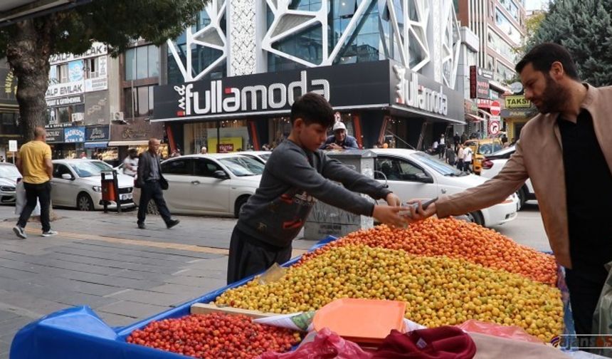 Kış Mevsiminin Habercisi Gûhişk Tezgahlarda: Fiyatlar %33 Arttı